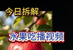 水果吃播视频