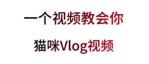 猫咪Vlog