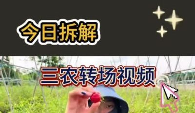 三农转场视频