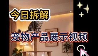宠物产品展示